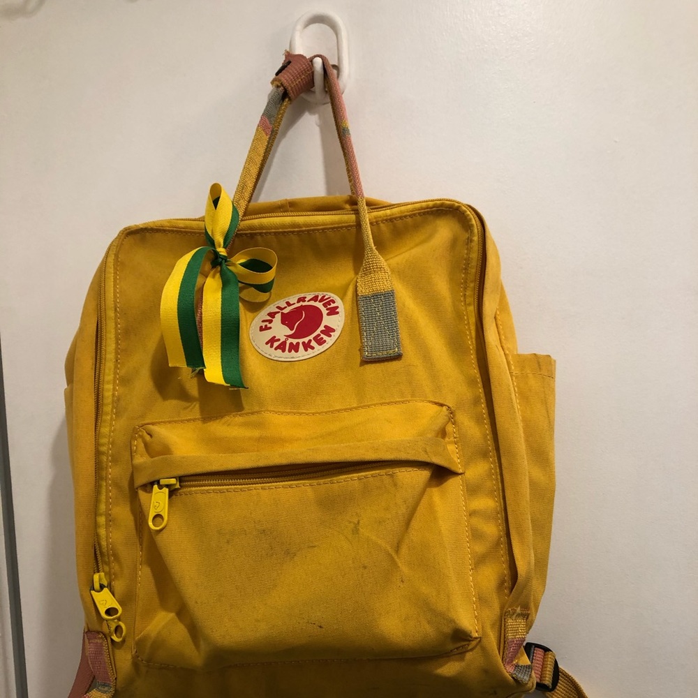 Fjallraven Kanken Backpack (USED)